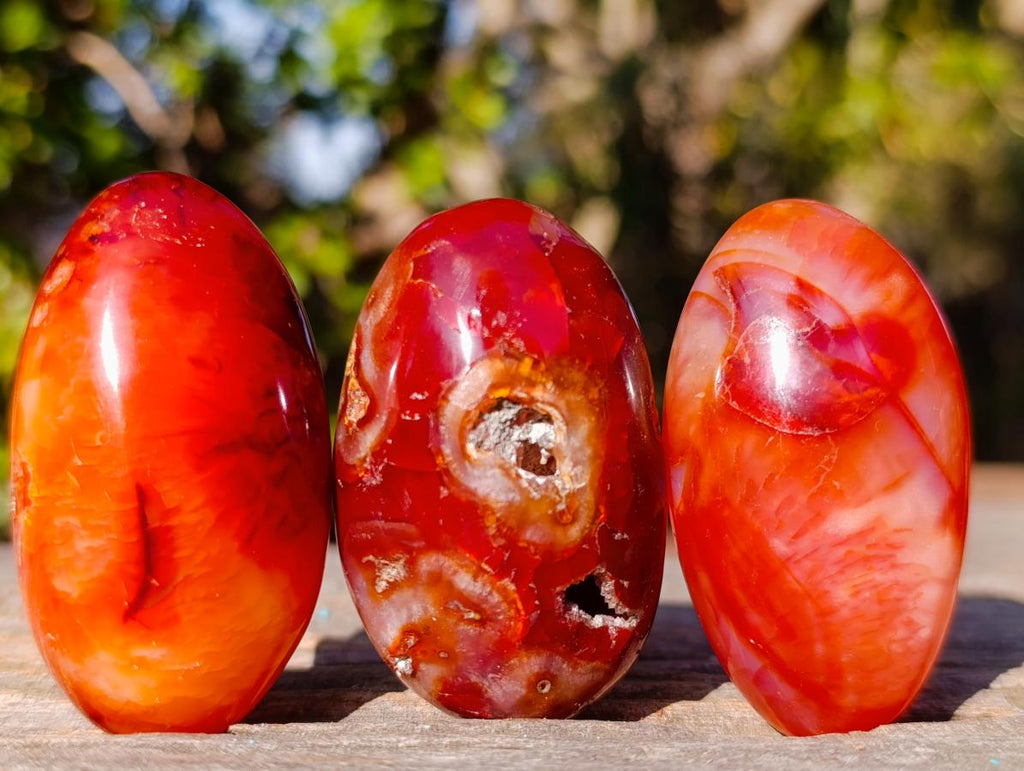 Polished and Natural Carnelian Agate Gemstone Galets x 24 From Madagascar - Toprock Gemstones and Minerals 