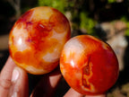 Polished and Natural Carnelian Agate Gemstone Galets x 24 From Madagascar - Toprock Gemstones and Minerals 