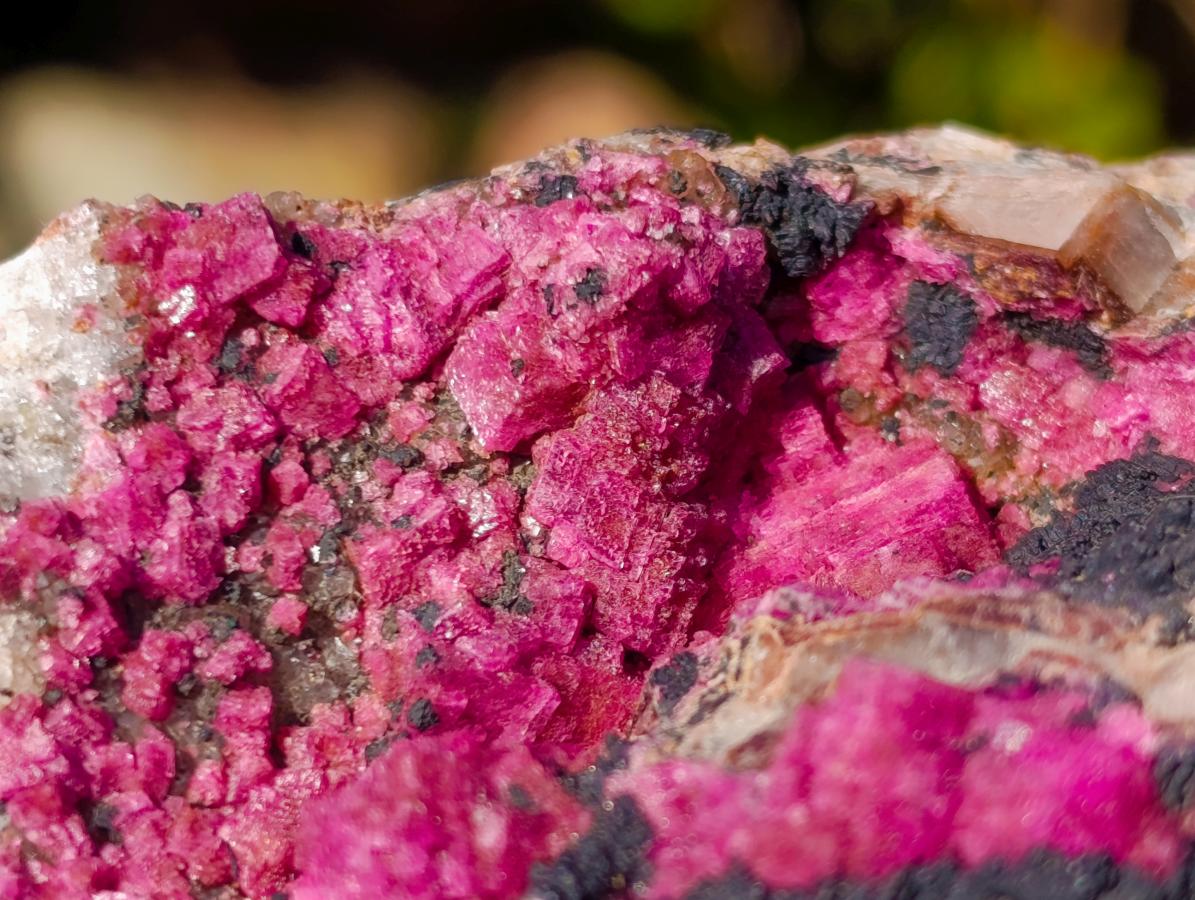 Natural Salrose Cobaltoan Dolomite Specimens with Heterogenite x 2 From Kakanda, Congo - Toprock Gemstones and Minerals 