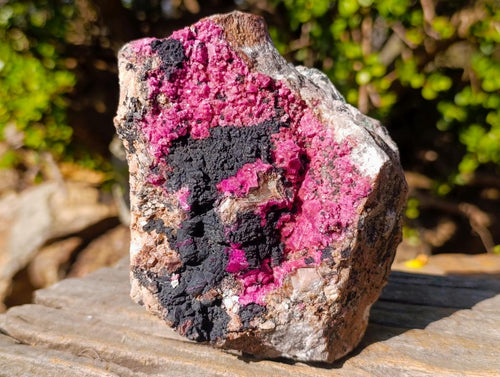 Natural Salrose Cobaltoan Dolomite Specimens with Heterogenite x 2 From Kakanda, Congo - Toprock Gemstones and Minerals 