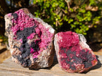 Natural Salrose Cobaltoan Dolomite Specimens with Heterogenite x 2 From Kakanda, Congo - Toprock Gemstones and Minerals 