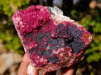 Natural Salrose Cobaltoan Dolomite Specimens with Heterogenite x 2 From Kakanda, Congo - Toprock Gemstones and Minerals 