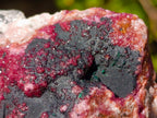 Natural Salrose Cobaltoan Dolomite Specimens with Heterogenite x 2 From Kakanda, Congo - Toprock Gemstones and Minerals 