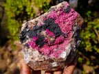 Natural Salrose Cobaltoan Dolomite Specimens with Heterogenite x 2 From Kakanda, Congo - Toprock Gemstones and Minerals 