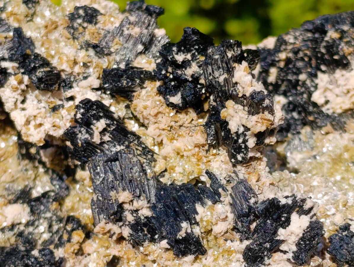 Natural XL Schorl Black Tourmaline Specimen on Mica x 1 From Erongo, Namibia - Toprock Gemstones and Minerals 