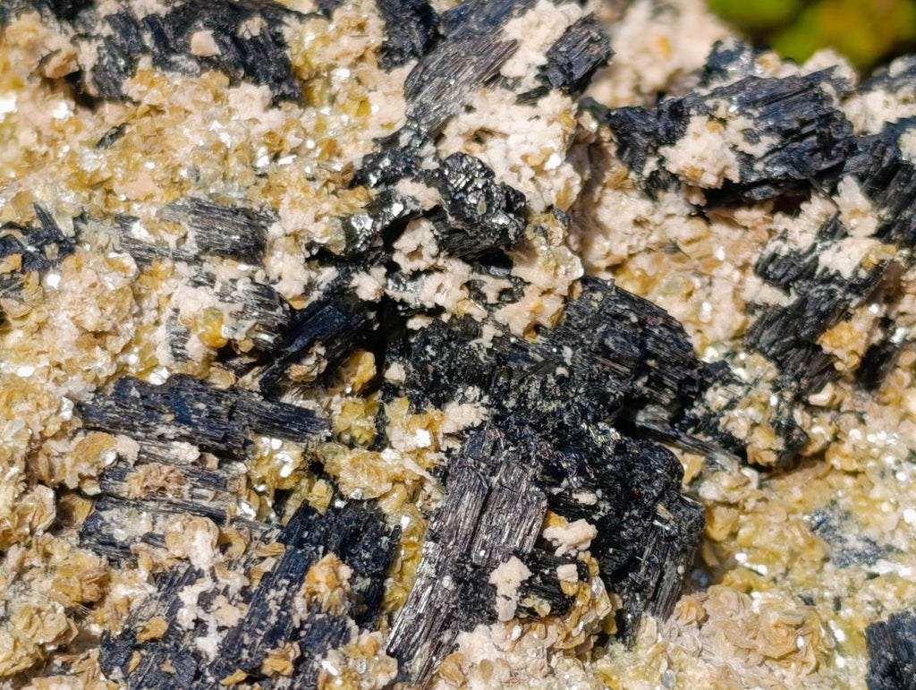 Natural XL Schorl Black Tourmaline Specimen on Mica x 1 From Erongo, Namibia - Toprock Gemstones and Minerals 
