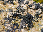 Natural XL Schorl Black Tourmaline Specimen on Mica x 1 From Erongo, Namibia - Toprock Gemstones and Minerals 