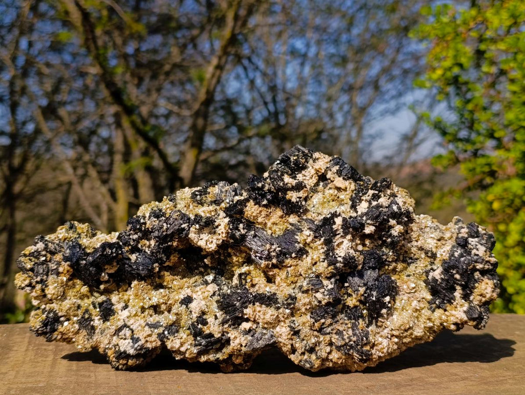 Natural XL Schorl Black Tourmaline Specimen on Mica x 1 From Erongo, Namibia - Toprock Gemstones and Minerals 