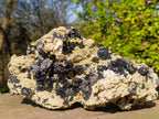 Natural XL Schorl Black Tourmaline Specimen on Mica x 1 From Erongo, Namibia - Toprock Gemstones and Minerals 