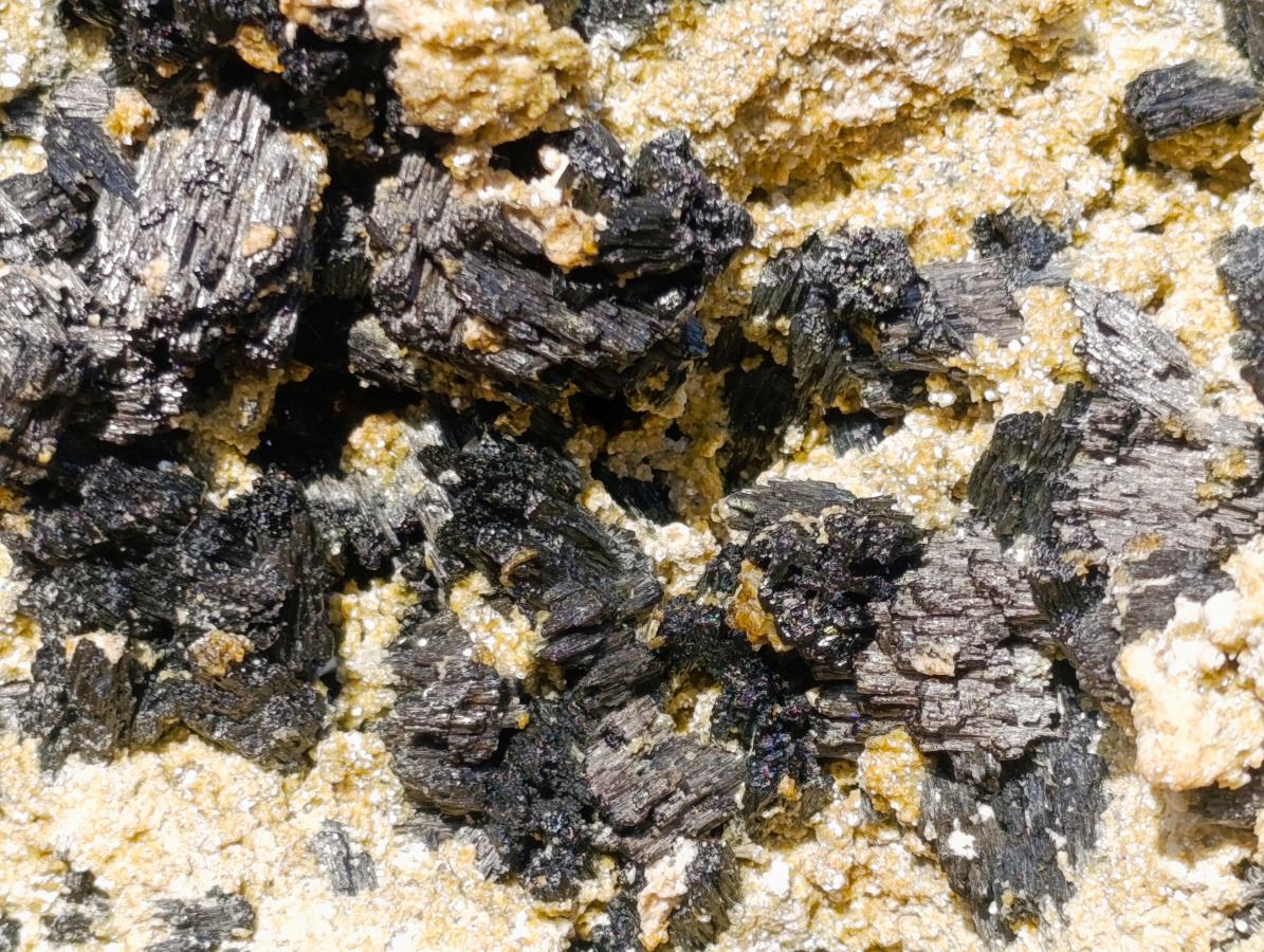 Natural XL Schorl Black Tourmaline Specimen on Mica x 1 From Erongo, Namibia - Toprock Gemstones and Minerals 