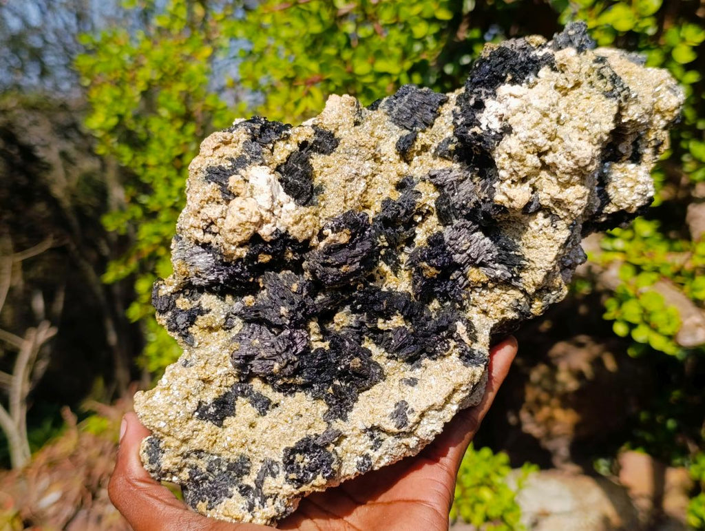 Natural XL Schorl Black Tourmaline Specimen on Mica x 1 From Erongo, Namibia - Toprock Gemstones and Minerals 