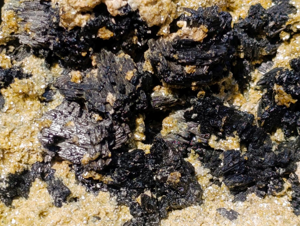 Natural XL Schorl Black Tourmaline Specimen on Mica x 1 From Erongo, Namibia - Toprock Gemstones and Minerals 