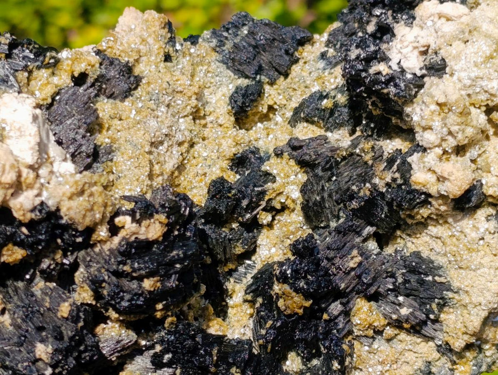 Natural XL Schorl Black Tourmaline Specimen on Mica x 1 From Erongo, Namibia - Toprock Gemstones and Minerals 