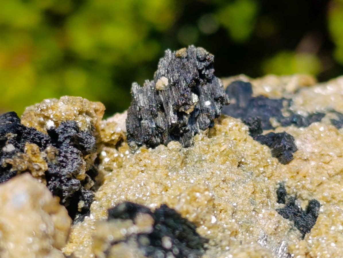 Natural XL Schorl Black Tourmaline Specimen on Mica x 1 From Erongo, Namibia - Toprock Gemstones and Minerals 