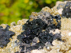 Natural XL Schorl Black Tourmaline Specimen on Mica x 1 From Erongo, Namibia - Toprock Gemstones and Minerals 