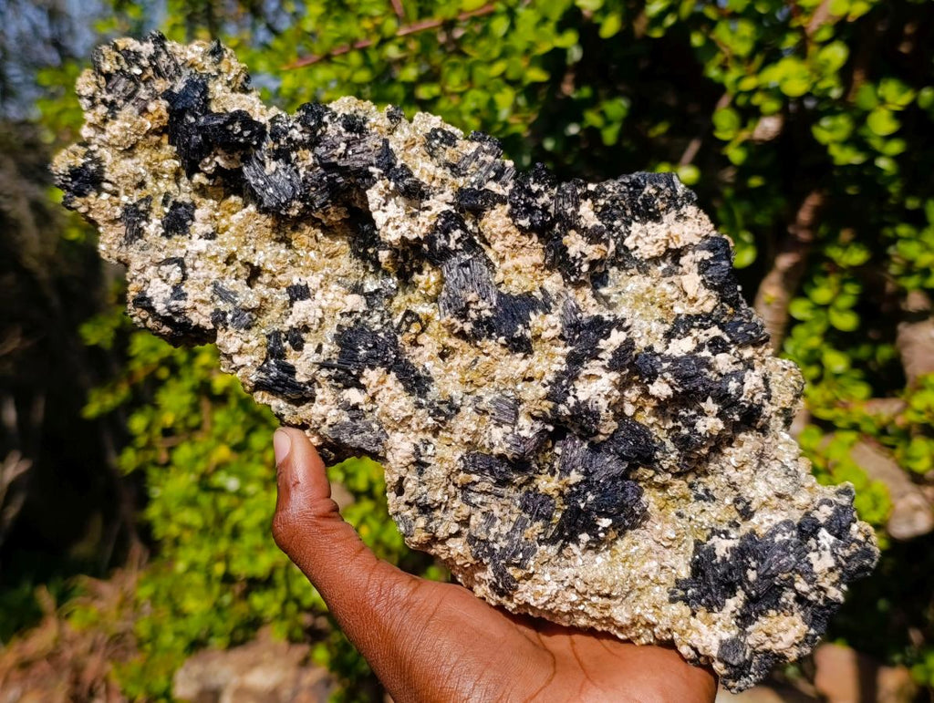 Natural XL Schorl Black Tourmaline Specimen on Mica x 1 From Erongo, Namibia - Toprock Gemstones and Minerals 