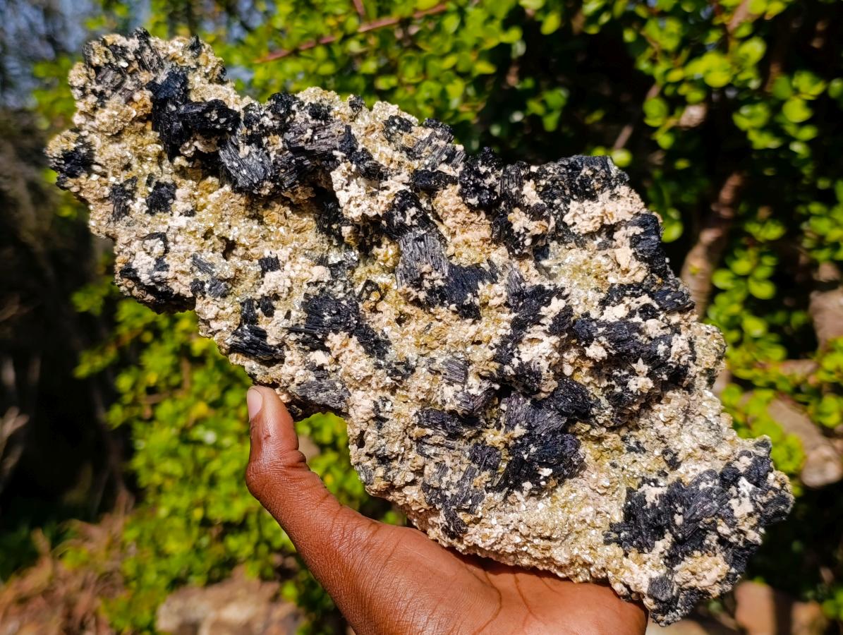 Natural XL Schorl Black Tourmaline Specimen on Mica x 1 From Erongo, Namibia - Toprock Gemstones and Minerals 