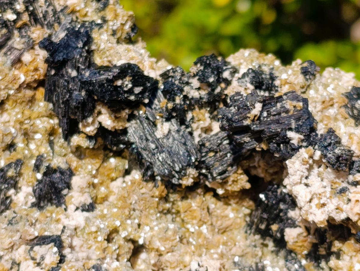 Natural XL Schorl Black Tourmaline Specimen on Mica x 1 From Erongo, Namibia - Toprock Gemstones and Minerals 