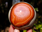 Polished Polychrome Jasper Spheres x 6 From NW Coast, Madagascar - Toprock Gemstones and Minerals 