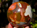 Polished Polychrome Jasper Spheres x 6 From NW Coast, Madagascar - Toprock Gemstones and Minerals 