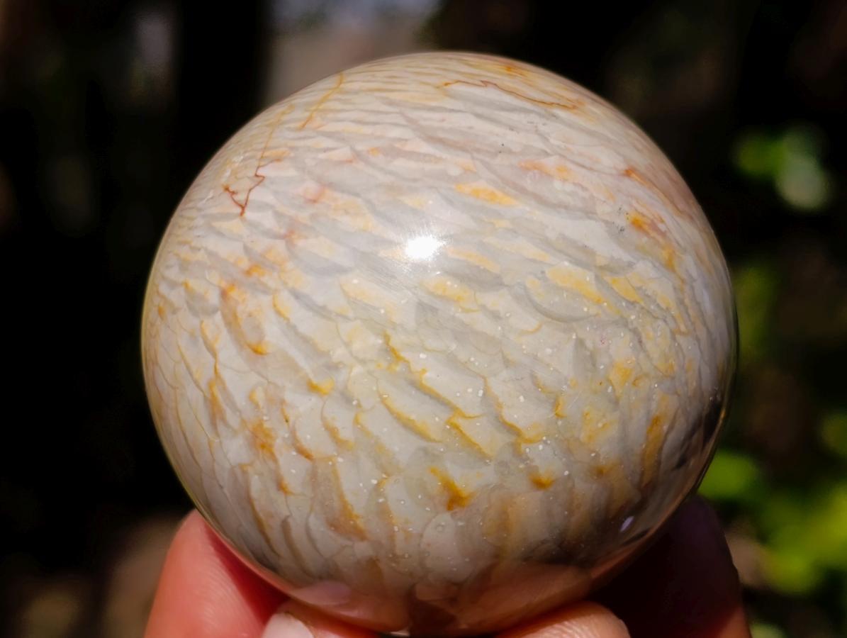 Polished Polychrome Jasper Spheres x 6 From NW Coast, Madagascar - Toprock Gemstones and Minerals 