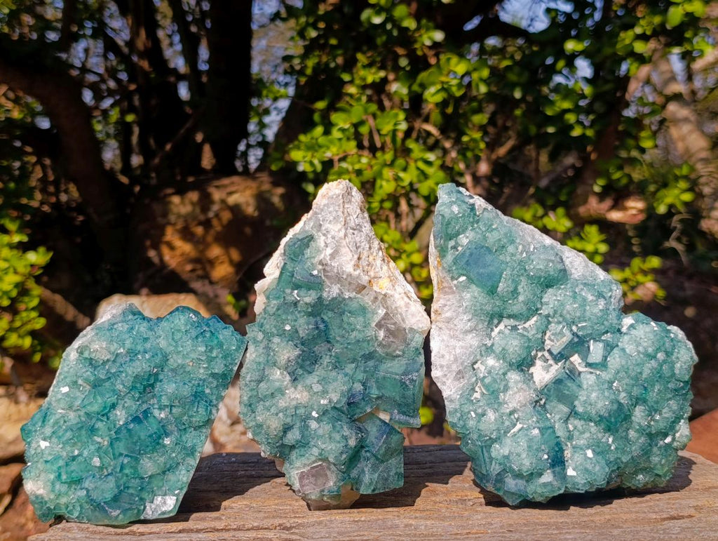 Natural Green Cubic Fluorite Specimens x 3 From Mandrosonoro, Madagascar - Toprock Gemstones and Minerals 