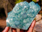 Natural Green Cubic Fluorite Specimens x 3 From Mandrosonoro, Madagascar - Toprock Gemstones and Minerals 