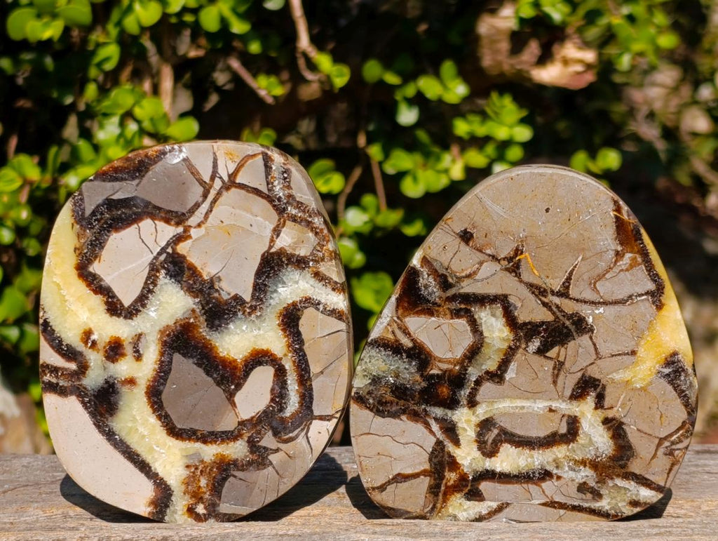 Polished Large Septerye Slices x 6 From Mahajanga, Madagascar - Toprock Gemstones and Minerals 