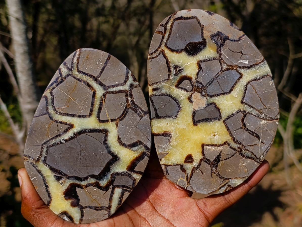 Polished Large Septerye Slices x 6 From Mahajanga, Madagascar - Toprock Gemstones and Minerals 