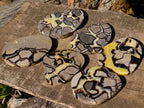 Polished Large Septerye Slices x 6 From Mahajanga, Madagascar - Toprock Gemstones and Minerals 
