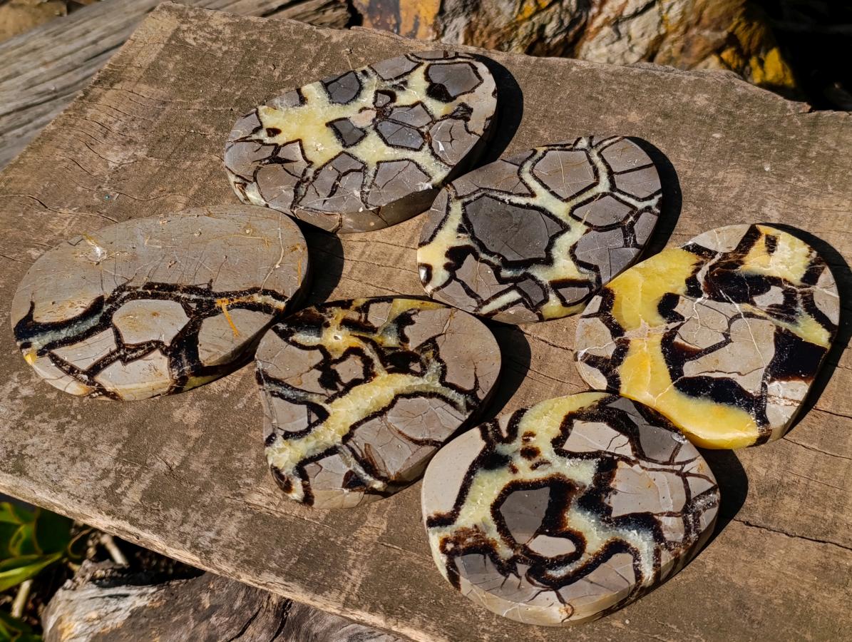 Polished Large Septerye Slices x 6 From Mahajanga, Madagascar - Toprock Gemstones and Minerals 