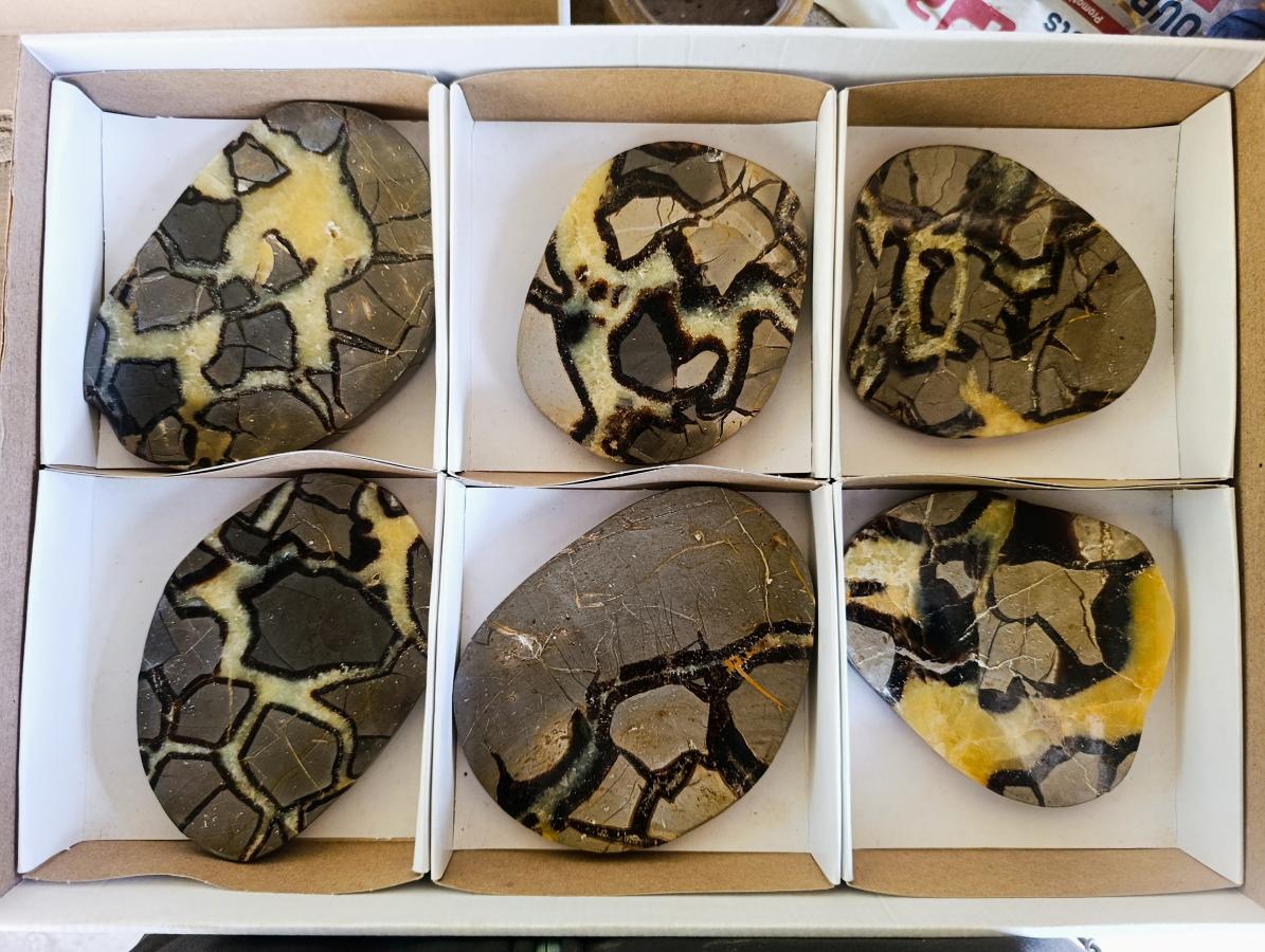 Polished Large Septerye Slices x 6 From Mahajanga, Madagascar - Toprock Gemstones and Minerals 