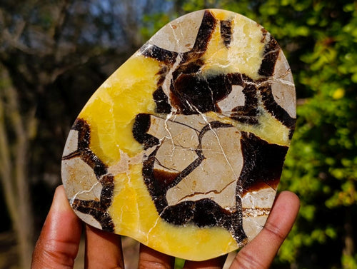 Polished Large Septerye Slices x 6 From Mahajanga, Madagascar - Toprock Gemstones and Minerals 