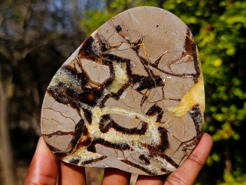 Polished Large Septerye Slices x 6 From Mahajanga, Madagascar - Toprock Gemstones and Minerals 