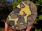 Polished Large Septerye Slices x 6 From Mahajanga, Madagascar - Toprock Gemstones and Minerals 