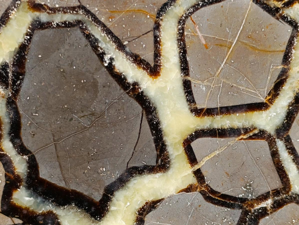 Polished Large Septerye Slices x 6 From Mahajanga, Madagascar - Toprock Gemstones and Minerals 