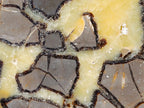 Polished Large Septerye Slices x 6 From Mahajanga, Madagascar - Toprock Gemstones and Minerals 