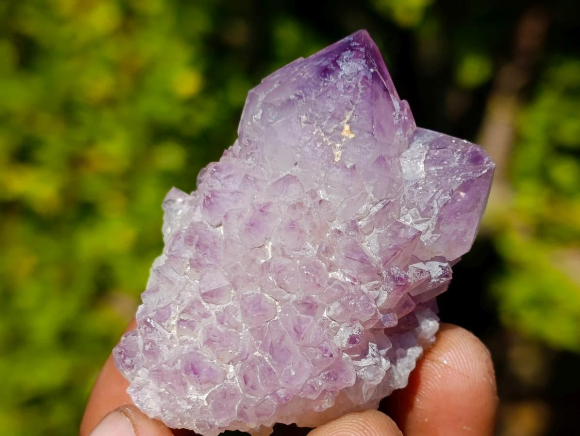 Natural Spirit Amethyst Crystals and Clusters x 70 From Boekenhouthoek, South Africa - Toprock Gemstones and Minerals 