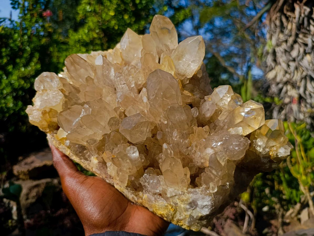 Natural XL Cascading Clear Yellow Citrine Quartz Cluster x 1 From Luena, Congo - Toprock Gemstones and Minerals 