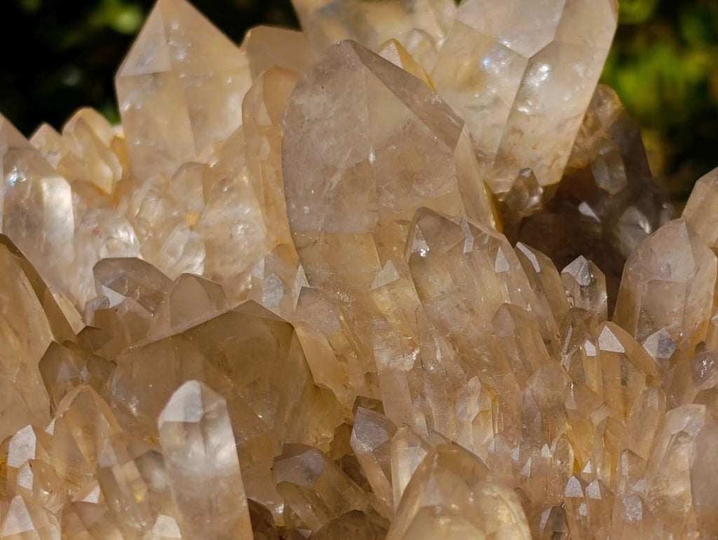 Natural XL Cascading Clear Yellow Citrine Quartz Cluster x 1 From Luena, Congo - Toprock Gemstones and Minerals 