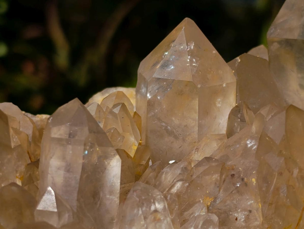Natural XL Cascading Clear Yellow Citrine Quartz Cluster x 1 From Luena, Congo - Toprock Gemstones and Minerals 