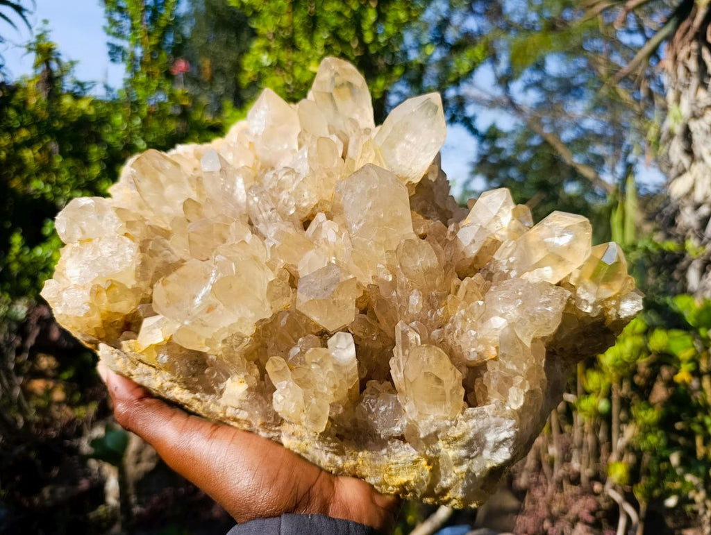 Natural XL Cascading Clear Yellow Citrine Quartz Cluster x 1 From Luena, Congo - Toprock Gemstones and Minerals 