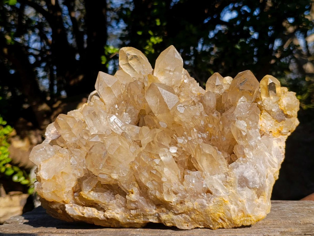 Natural XL Cascading Clear Yellow Citrine Quartz Cluster x 1 From Luena, Congo - Toprock Gemstones and Minerals 