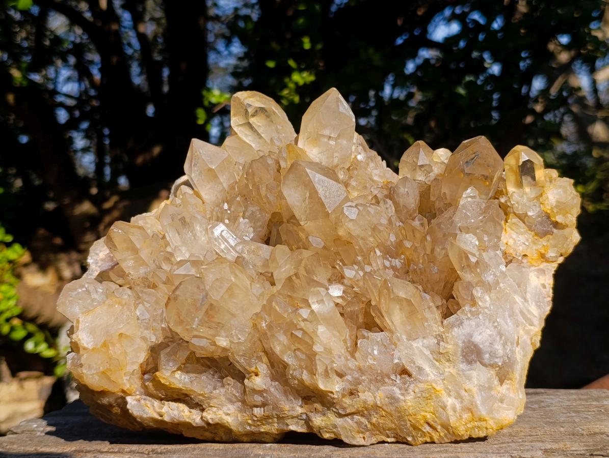 Natural XL Cascading Clear Yellow Citrine Quartz Cluster x 1 From Luena, Congo - Toprock Gemstones and Minerals 