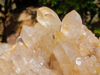 Natural XL Cascading Clear Yellow Citrine Quartz Cluster x 1 From Luena, Congo - Toprock Gemstones and Minerals 