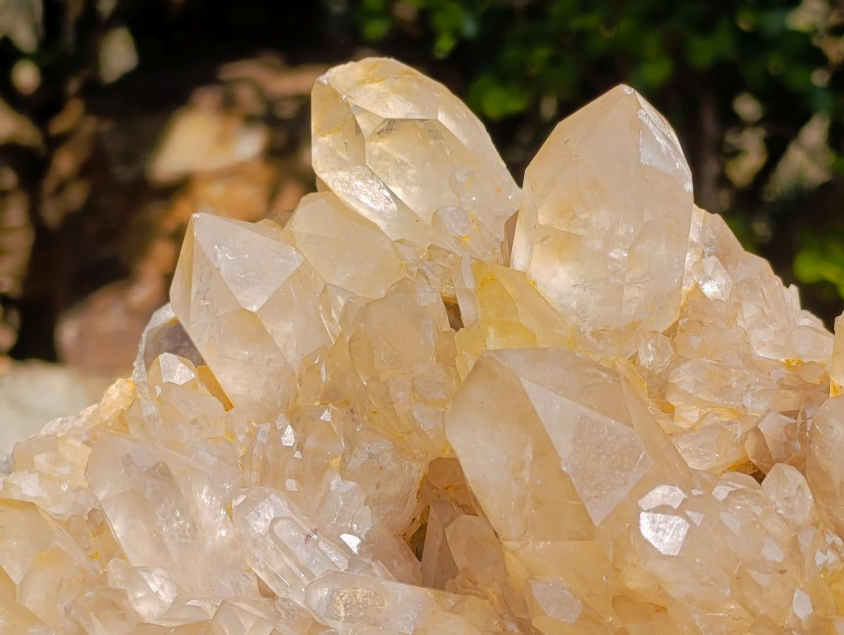 Natural XL Cascading Clear Yellow Citrine Quartz Cluster x 1 From Luena, Congo - Toprock Gemstones and Minerals 
