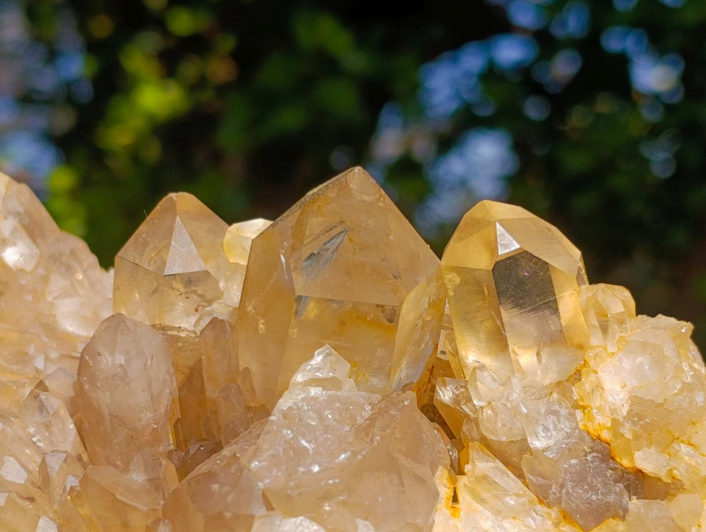 Natural XL Cascading Clear Yellow Citrine Quartz Cluster x 1 From Luena, Congo - Toprock Gemstones and Minerals 