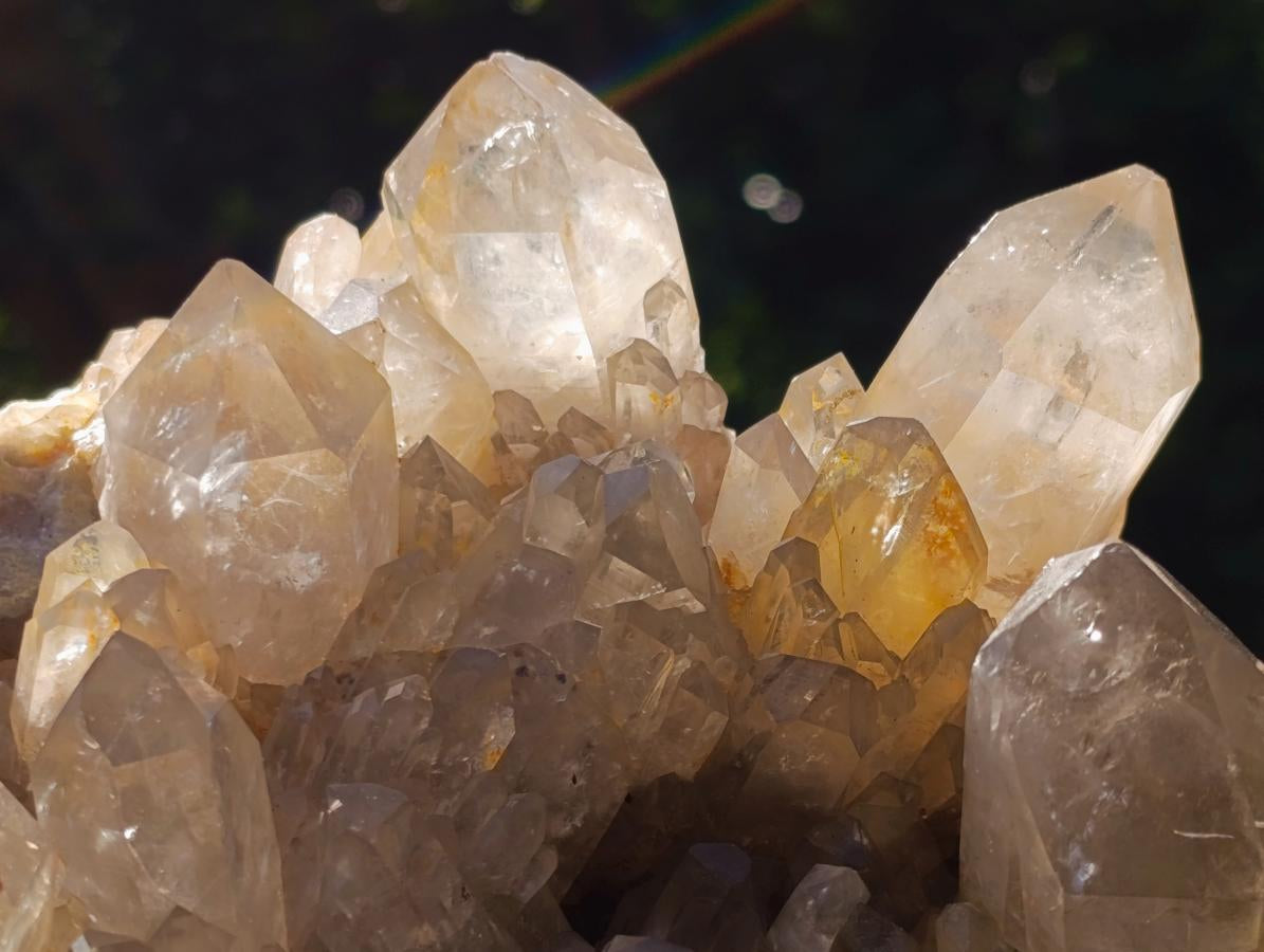Natural XL Cascading Clear Yellow Citrine Quartz Cluster x 1 From Luena, Congo - Toprock Gemstones and Minerals 