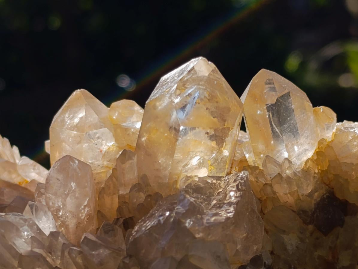 Natural XL Cascading Clear Yellow Citrine Quartz Cluster x 1 From Luena, Congo - Toprock Gemstones and Minerals 