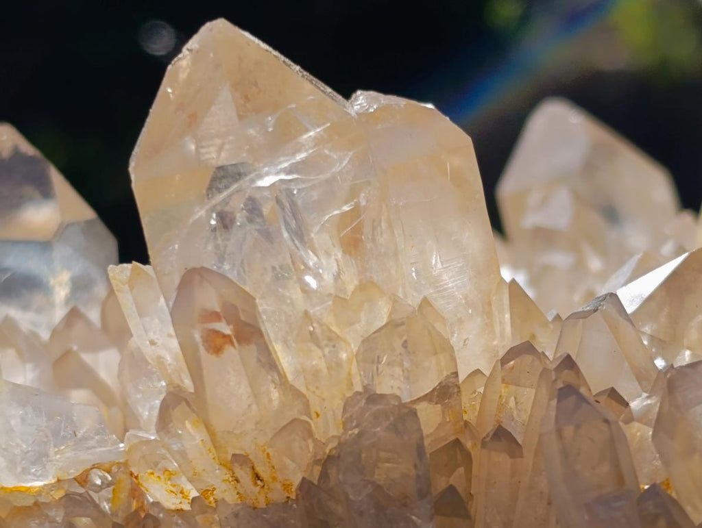 Natural XL Cascading Clear Yellow Citrine Quartz Cluster x 1 From Luena, Congo - Toprock Gemstones and Minerals 